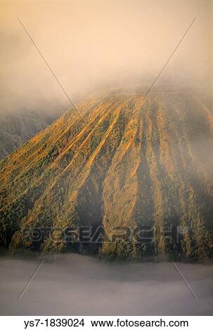 View of the caldera and active volcanoes from the top of Bromo volcano at sunrise, eastern Java, Indonesia View Large Photo Image Picture - View of the caldera and active volcanoes from the top of Bromo volcano at sunrise, eastern Java, Indonesia. Fotosearch