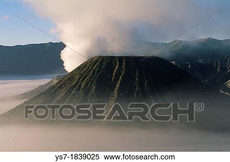 View of the caldera and active volcanoes from the top of Bromo volcano at sunrise, eastern Java, Indonesia View Large Photo Image Stock Photography - View of the caldera and active volcanoes from the top of Bromo volcano at sunrise, eastern Java, Indonesia. Fotosearch