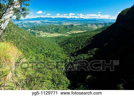 View over the mountains in the Lamington National Park, Australia View Large Photo Image Stock Image - View over the mountains in the Lamington National Park, Australia. Fotosearch