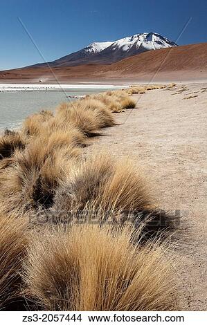 View to the Laguna Hedionda with a 4x4 jeep at the background, Salar de uyuni, Southern Altiplano, Bolivia. View Large Photo Image Picture - View to the Laguna Hedionda with a 4x4 jeep at the background, Salar de uyuni, Southern Altiplano, Bolivia.. Fotosearch