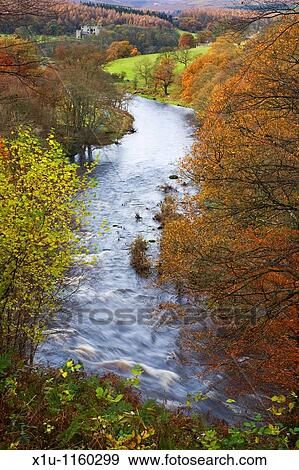 View toward Barden Tower Strid Wood Wharfedale Yorkshire England View Large Photo Image Stock Photo - View toward Barden Tower Strid Wood Wharfedale Yorkshire England. Fotosearch