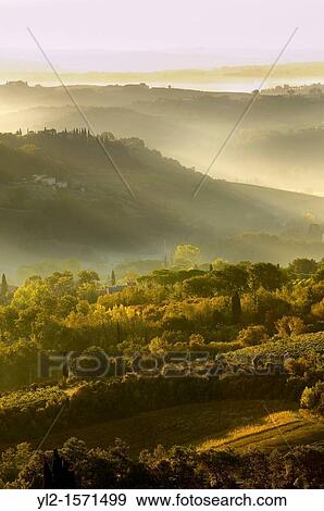Views across the vineyards and olive groves of the Chianti Region from San Gimignano, Tuscany Italy View Large Photo Image Stock Photo - Views across the vineyards and olive groves of the Chianti Region from San Gimignano, Tuscany Italy. Fotosearch