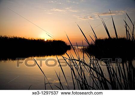Stock Photo - Views of La Albufera de Valencia. Fotosearch