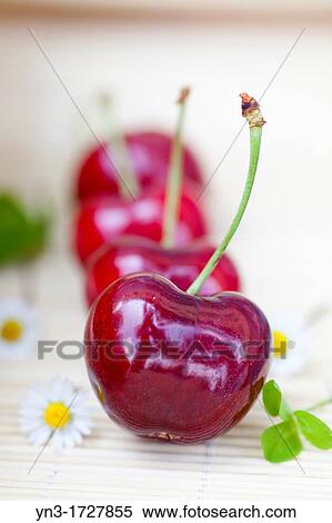 Vignola red Cherries View Large Photo Image Stock Photography - Vignola red Cherries. Fotosearch