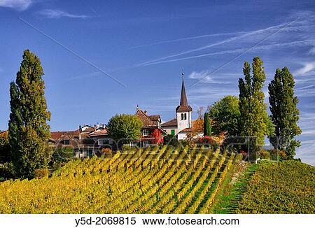 Village Fechy, autumn landscape, Romandy. French speaking part of Switzerland, canton Vaud. View Large Photo Image Stock Photography - Village Fechy, autumn landscape, Romandy. French speaking part of Switzerland, canton Vaud.. Fotosearch