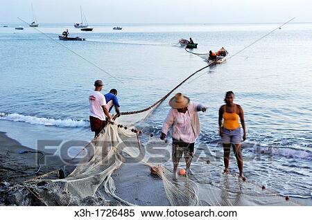 villagers hauling a seine fishing net on the beach of Saint-Pierre, Martinique, french island overseas region and department in the Lesser Antilles in the eastern Caribbean Sea, Atlantic Ocean View Large Photo Image Stock Photography - villagers hauling a seine fishing net on the beach of Saint-Pierre, Martinique, french island overseas region and department in the Lesser Antilles in the eastern Caribbean Sea, Atlantic Ocean. Fotosearch