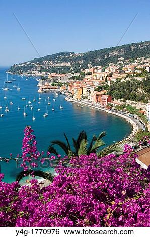Villefranche sur Mer seen from above, South of France, sailing boats at anchor, Flowers and palm tree in foreground View Large Photo Image Stock Photograph - Villefranche sur Mer seen from above, South of France, sailing boats at anchor, Flowers and palm tree in foreground. Fotosearch