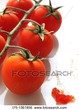 Vine tomato marmalade View Large Photo Image Stock Photograph - Vine tomato marmalade. Fotosearch