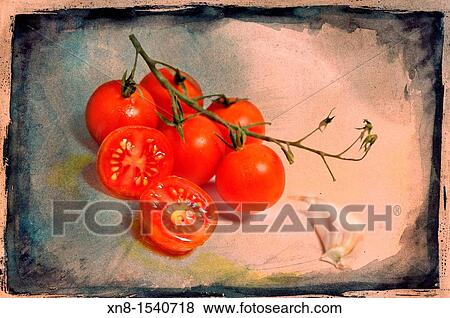 Vine tomatoes on white background View Large Photo Image Stock Photo - Vine tomatoes on white background. Fotosearch