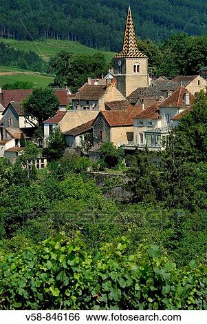 Stock Photograph - Vineyard and village of Pernand-Vergelesses, Cotes d? Or, France. Fotosearch