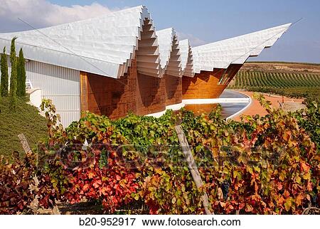 Vineyard and Ysios winery building designed by architect Santiago Calatrava, Laguardia, Rioja Alavesa, Araba, Basque Country, Spain View Large Photo Image Stock Photo - Vineyard and Ysios winery building designed by architect Santiago Calatrava, Laguardia, Rioja Alavesa, Araba, Basque Country, Spain. Fotosearch