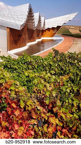 Vineyard and Ysios winery building designed by architect Santiago Calatrava, Laguardia, Rioja Alavesa, Araba, Basque Country, Spain View Large Photo Image Stock Photo - Vineyard and Ysios winery building designed by architect Santiago Calatrava, Laguardia, Rioja Alavesa, Araba, Basque Country, Spain. Fotosearch