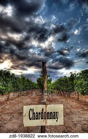 Vineyards and Wine Cellars of El Esteco, Cafayate, Argentina View Large Photo Image Stock Image - Vineyards and Wine Cellars of El Esteco, Cafayate, Argentina. Fotosearch