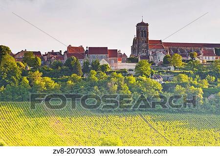 Vineyards below the hilltop village of Vezelay in Burgundy. This particular vineyard is called Le Clos. View Large Photo Image Stock Image - Vineyards below the hilltop village of Vezelay in Burgundy. This particular vineyard is called Le Clos.. Fotosearch