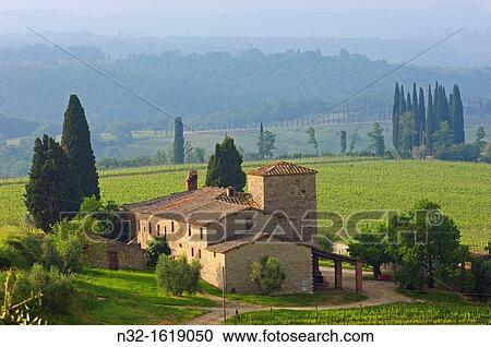 Vineyards, Chianti, Monti del Chianti, Tuscany landscape, Siena Province, Tuscany, Italy View Large Photo Image Stock Image - Vineyards, Chianti, Monti del Chianti, Tuscany landscape, Siena Province, Tuscany, Italy. Fotosearch