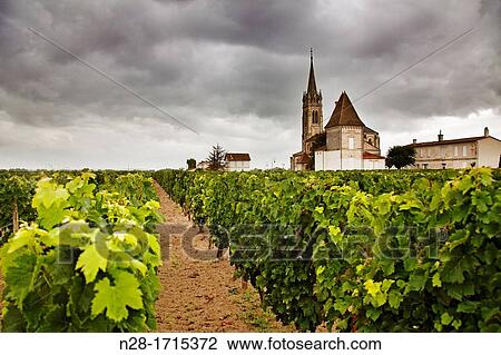 Vineyards in Chateau St Pierre de Pomerol Bordeaux wines district France. View Large Photo Image Stock Image - Vineyards in Chateau St Pierre de Pomerol Bordeaux wines district France.. Fotosearch