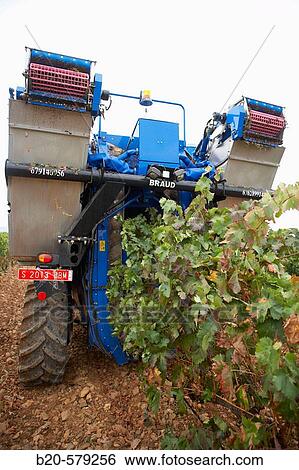 Vintage. Combine harvester. Logroo, La Rioja. Spain View Large Photo Image Stock Photograph - Vintage. Combine harvester. Logroo, La Rioja. Spain. Fotosearch