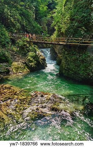 Stock Photograph - Vintgar Gorge Blejski Vintgar carved by Radovna river near Bled, Slovenia. Fotosearch
