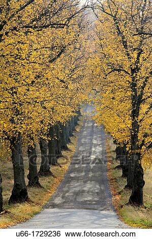 Vira Uppland Sweden. View Large Photo Image Stock Photograph - Vira Uppland Sweden.. Fotosearch