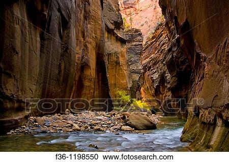 Stock Image - Virgin River Narrows, Zion National Park, Utah. Fotosearch