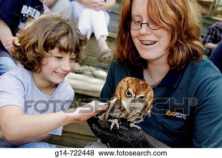 Virginia, Roanoke, Mill Mountain Zoo, screech owl, bird, animal, trainer, girl, student, touch, View Large Photo Image Stock Photo - Virginia, Roanoke, Mill Mountain Zoo, screech owl, bird, animal, trainer, girl, student, touch,. Fotosearch