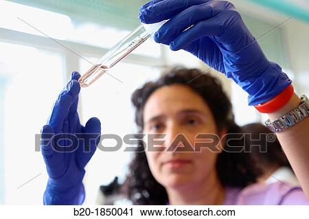 Virus Celular Cultures, Microbiology Department, Donostia Hospital, San Sebastian, Donostia, Gipuzkoa, Basque Country, Spain View Large Photo Image Stock Image - Virus Celular Cultures, Microbiology Department, Donostia Hospital, San Sebastian, Donostia, Gipuzkoa, Basque Country, Spain. Fotosearch