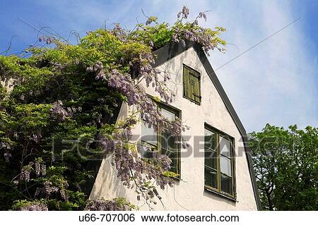 Visby, Gotland, Sweden View Large Photo Image Stock Photograph - Visby, Gotland, Sweden. Fotosearch