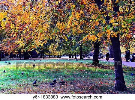 Stock Image - Visitors enjoy the Autumn/ Fall colours in St James's Park, London, England on a fine day. Fotosearch