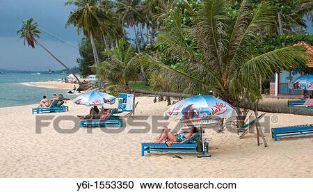 Visitors relax on sun beds Long Beach Phu Quoc Island Vietnam View Large Photo Image Stock Image - Visitors relax on sun beds Long Beach Phu Quoc Island Vietnam. Fotosearch