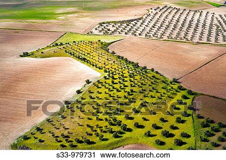 Vista aerea de los campos de Pinto Madrid Espaa View Large Photo Image Stock Image - Vista aerea de los campos de Pinto Madrid Espaa. Fotosearch