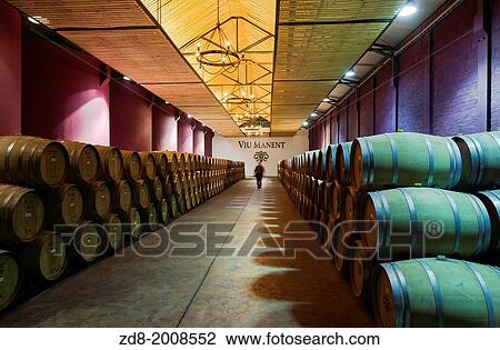 Stock Image - viu manent winery in colchagua valley.. Fotosearch