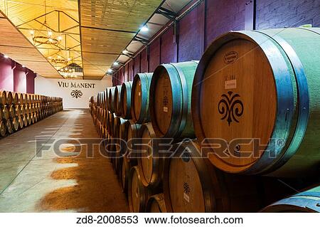 viu manent winery in colchagua valley. View Large Photo Image Stock Image - viu manent winery in colchagua valley.. Fotosearch
