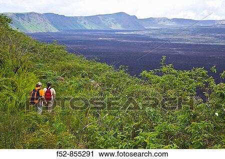 Volcan Chico, Sierra Negra shield volcano, Isabela Island, Galapagos Islands, Ecuador View Large Photo Image Stock Image - Volcan Chico, Sierra Negra shield volcano, Isabela Island, Galapagos Islands, Ecuador. Fotosearch