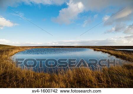 Volcanic landscape near of Vik Iceland View Large Photo Image Stock Image - Volcanic landscape near of Vik Iceland. Fotosearch