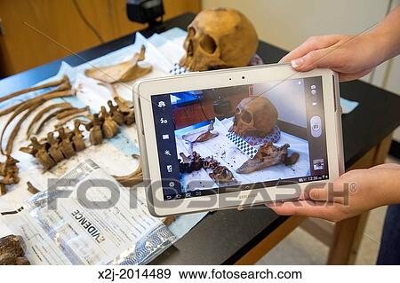Stock Photo - Waco, Texas - Forensic scientist Dr. Lori Baker and her students at Baylor University work to identify the remains of unidentified migrants who died trying to enter the United States without legal documents.. Fotosearch