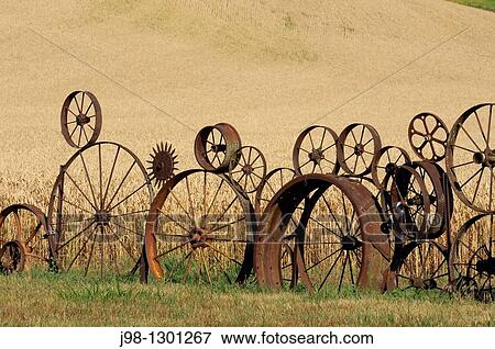 Wagon wheel fence with wheat field in background. Palouse, Whitman County, Washington State, USA View Large Photo Image Stock Photo - Wagon wheel fence with wheat field in background. Palouse, Whitman County, Washington State, USA. Fotosearch