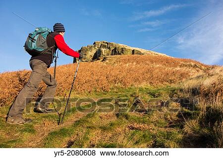 Stock Photo - Walker on footpath to the summit of Roseberry Topping (nicknamed the `Yorkshire Matterhorn`), North York Moors National Park, England, United Kingdom.. Fotosearch