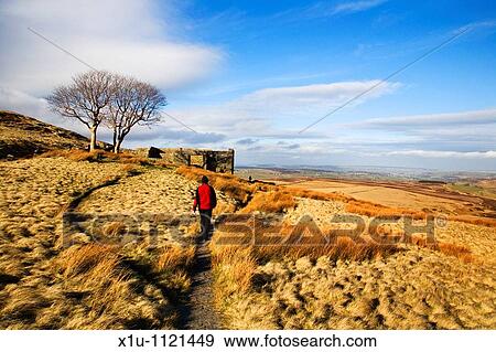 Walker on The Bronte Way at Top Withins Haworth Moor West Yorksh View Large Photo Image Stock Photo - Walker on The Bronte Way at Top Withins Haworth Moor West Yorksh. Fotosearch
