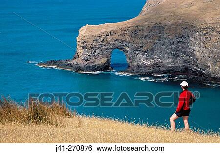 Stock Photograph - Walker watching seascape with arch. Sleepy Bay. Banks Peninsula walkaway. Canterbury. New Zealand. Fotosearch