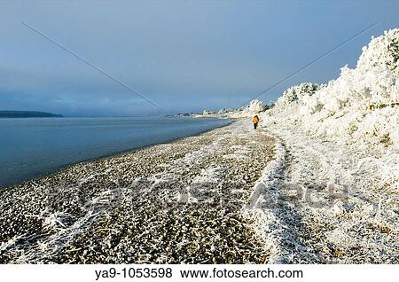 Stock Photo - Walkers on frozen beach, Findhorn on the Moray Firth, Scotland. Fotosearch