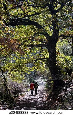 Stock Photo - Walkers on the route of Camino del Agua, in Las Batuecas-Sierra de Francia Natural Park Mogarraz Monforte de la Sierra Salamanca Castilla y Le? n Spain. Fotosearch