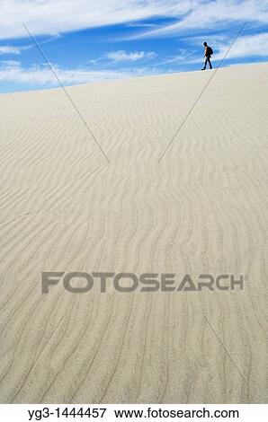 Walking among sand dunes at Farewell Spit, New Zealand View Large Photo Image Stock Photo - Walking among sand dunes at Farewell Spit, New Zealand. Fotosearch