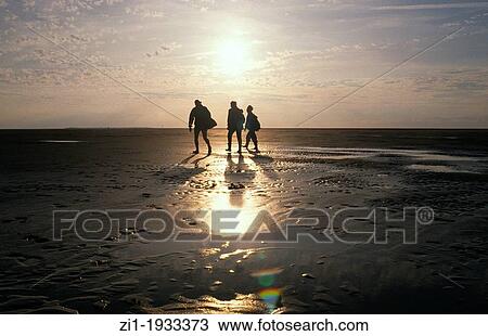 Stock Image - walking at the? wad? with low tide at the Waddenzee in the Netherlands. Fotosearch
