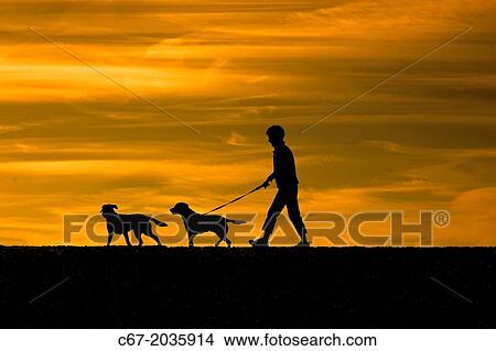 Walking dogs on Dunwich beach Suffolk. View Large Photo Image Picture - Walking dogs on Dunwich beach Suffolk.. Fotosearch