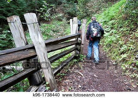 Stock Image - walking on a trail in the forest. Fotosearch