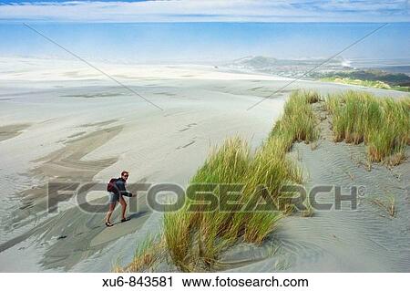 Stock Image - Walking on sand dunes Farewell Spit, New Zealand. Fotosearch