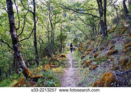 Walking on the White gorge. Sierra de Gredos. Avila. Castilla Leon. Spain. View Large Photo Image Stock Photo - Walking on the White gorge. Sierra de Gredos. Avila. Castilla Leon. Spain.. Fotosearch