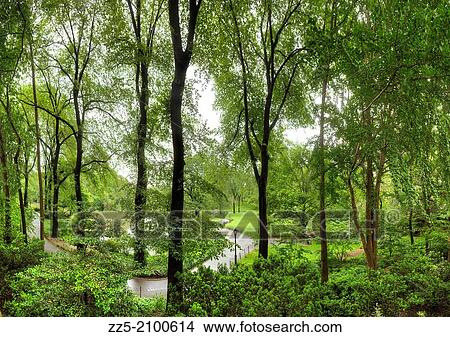walking path through trees around the pond at the south east corner in Central Park. View Large Photo Image Picture - walking path through trees around the pond at the south east corner in Central Park.. Fotosearch