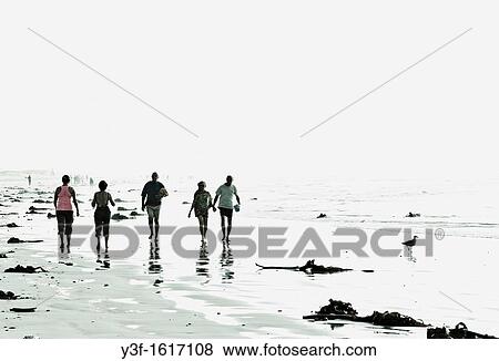 Walking the beach at low tide. Good exercise. Seaweed from a storm at sea has washed onto the beach. Muizenberg, Cape Town, South Africa View Large Photo Image Stock Photo - Walking the beach at low tide. Good exercise. Seaweed from a storm at sea has washed onto the beach. Muizenberg, Cape Town, South Africa. Fotosearch