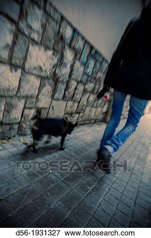walking the dog, Valencia, Spain View Large Photo Image Stock Photo - walking the dog, Valencia, Spain. Fotosearch